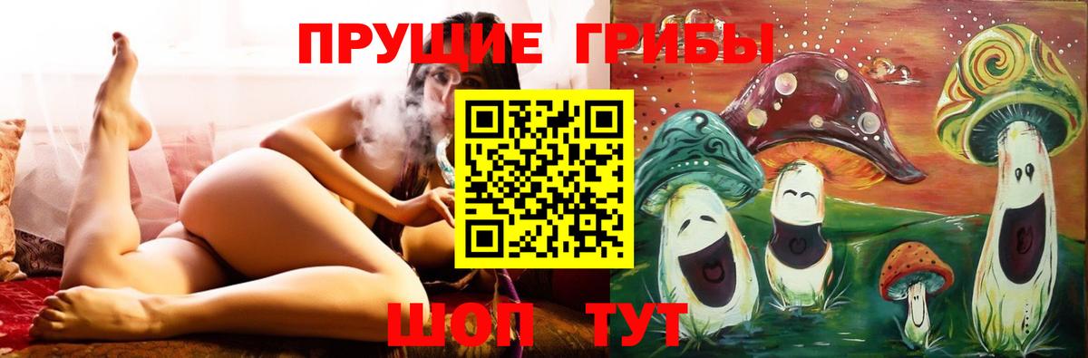хочу   Галлюциногенные грибы прущие грибы  Вход с VPN  Кемерово 