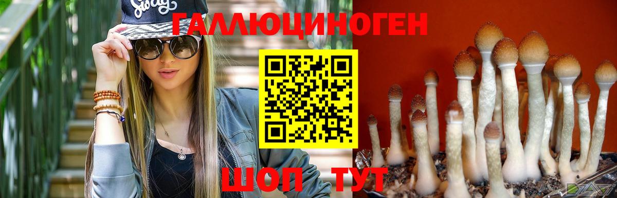 Галлюциногенные грибы Cubensis Кемерово